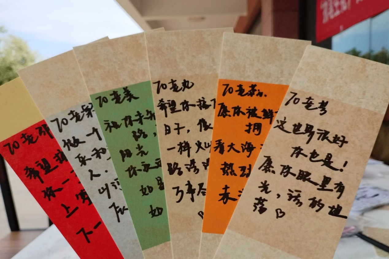 图片6